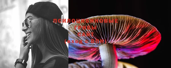 ешки Протвино