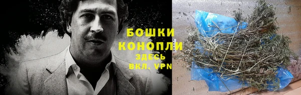 ешки Протвино