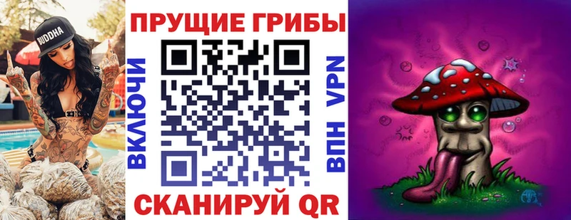 Псилоцибиновые грибы MAGIC MUSHROOMS  Купить где  Полтавская 